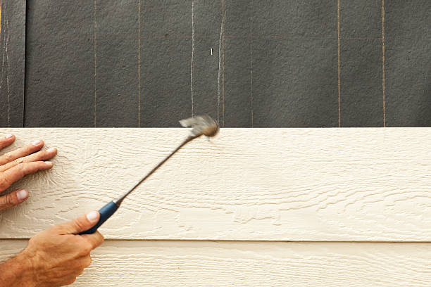 Best Siding Removal and Disposal  in Bunnell, FL